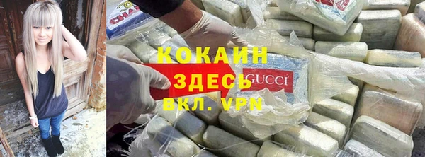 твердый Арсеньев