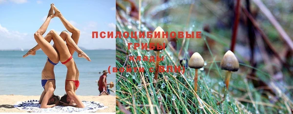 твердый Арсеньев