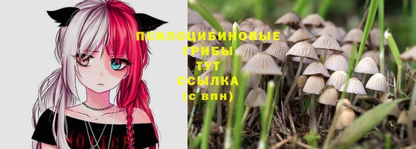 а пвп мука Аркадак